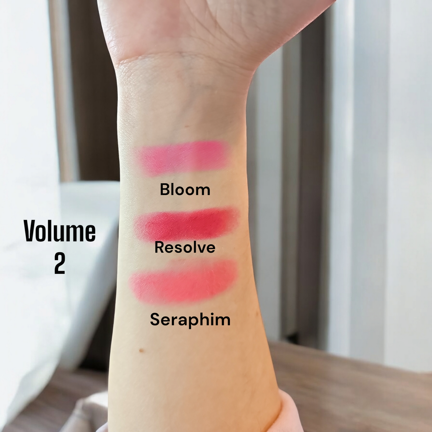 THE TRINITY Blush Palette (2 Volumes) Matte Powder